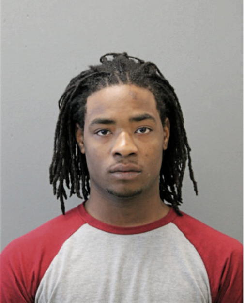 JUSTIN L WISE, Cook County, Illinois
