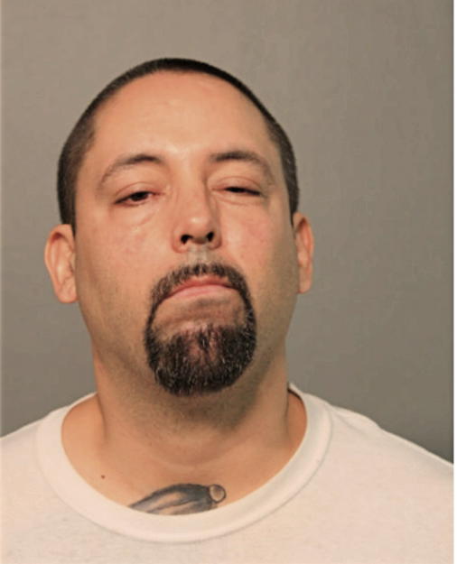 JOSE A ANAYA, Cook County, Illinois