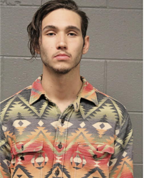 DANIEL J BOL, Cook County, Illinois