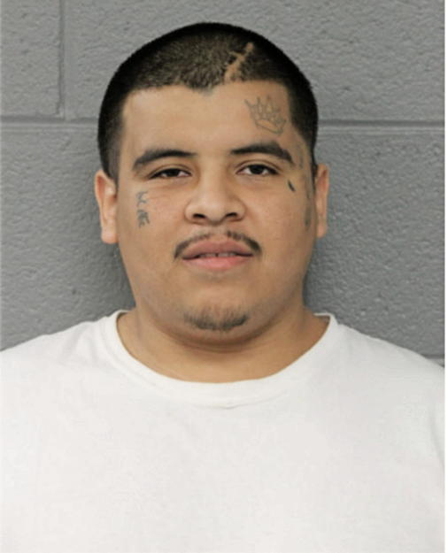 OSCAR DIAZ, Cook County, Illinois