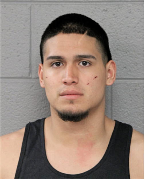 LUIS A DURAN, Cook County, Illinois