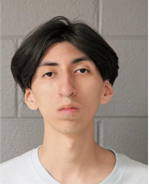 DIEGO ELIZARRARAZ, Cook County, Illinois