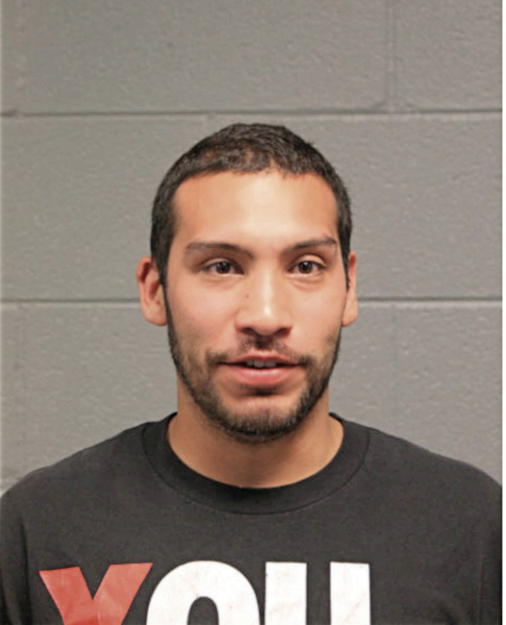 ALBERTO R ENRIQUEZ, Cook County, Illinois