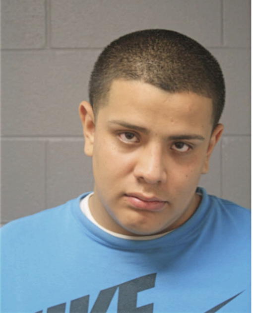 ERIK R GONZALEZ, Cook County, Illinois