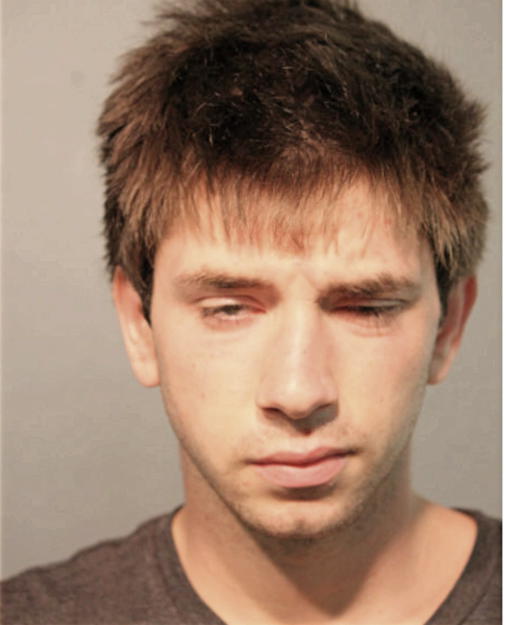 ROBERT L HANNA, Cook County, Illinois
