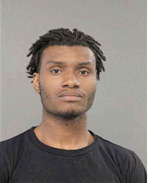 BRIAN D KING, Cook County, Illinois