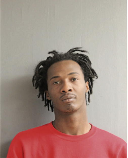 TERRY D LEE, Cook County, Illinois