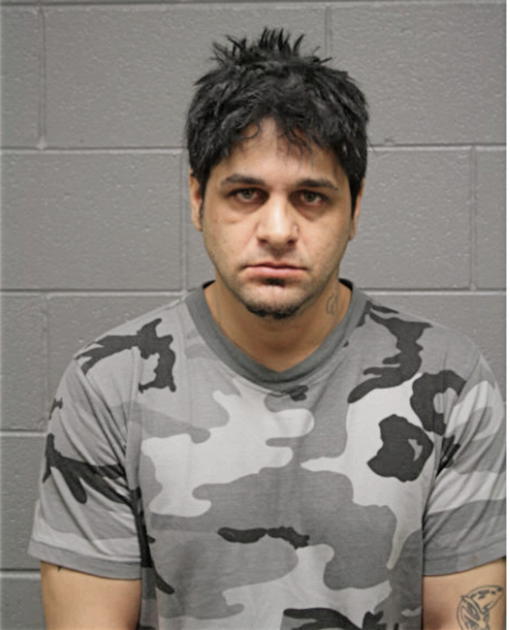 DANIEL J LENA, Cook County, Illinois