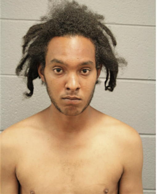 ROBERTO R MELENDEZ, Cook County, Illinois