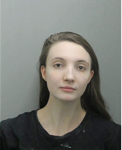 ERIKA A NEUMANN, Cook County, Illinois