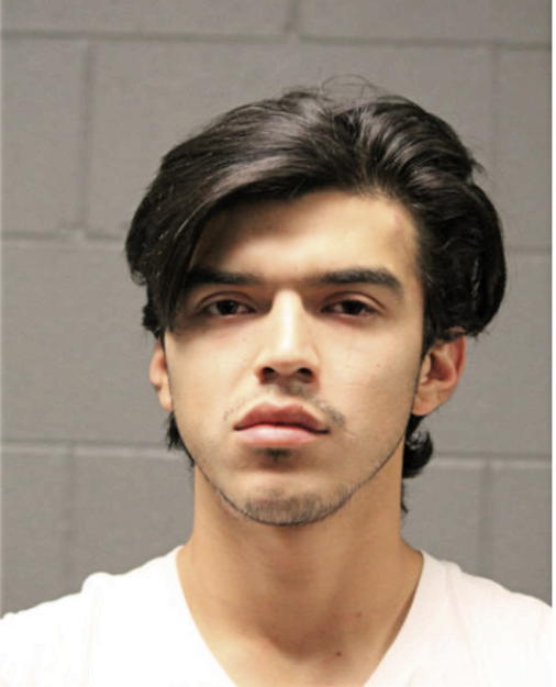 ALVARO N PADILLA, Cook County, Illinois