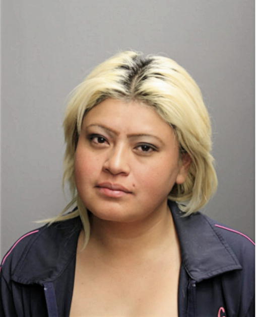 SANDRA PUMA, Cook County, Illinois