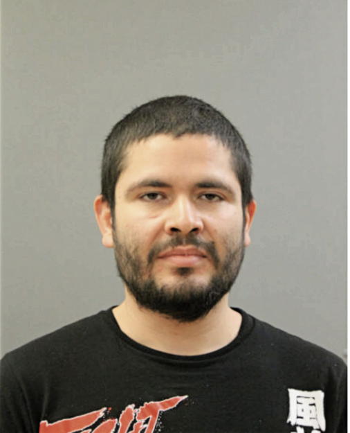 JESUS JR QUINONES, Cook County, Illinois