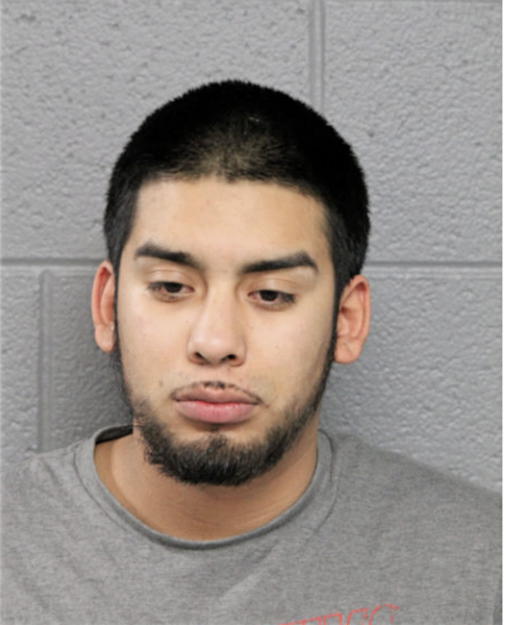 BILLY RENDON, Cook County, Illinois