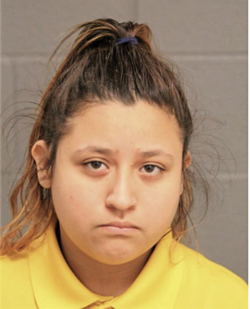 YANET SALAZAR, Cook County, Illinois