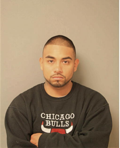 PALEMON SANDOVAL, Cook County, Illinois