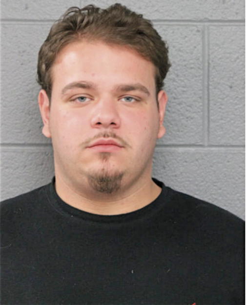 ALEXANDER C SNITKA, Cook County, Illinois
