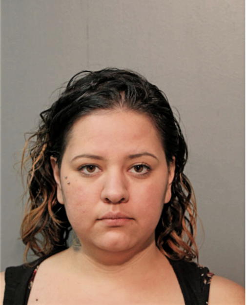 BRENDA VENEGAS, Cook County, Illinois