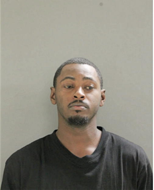 BRYAN K WILSON, Cook County, Illinois