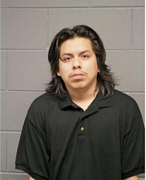 CARLOS CARMONA, Cook County, Illinois
