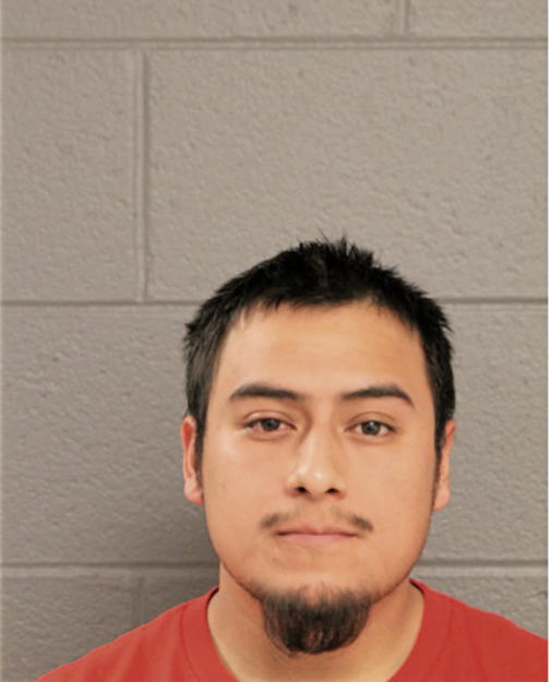 CHRISTIAN I CORTEZ, Cook County, Illinois