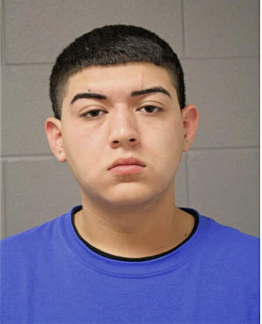 TOMAS M DIAZ, Cook County, Illinois
