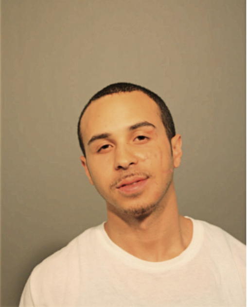 DANIEL S DIECKMANN, Cook County, Illinois