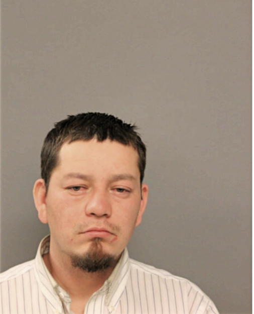 JOSE F FERMIN, Cook County, Illinois