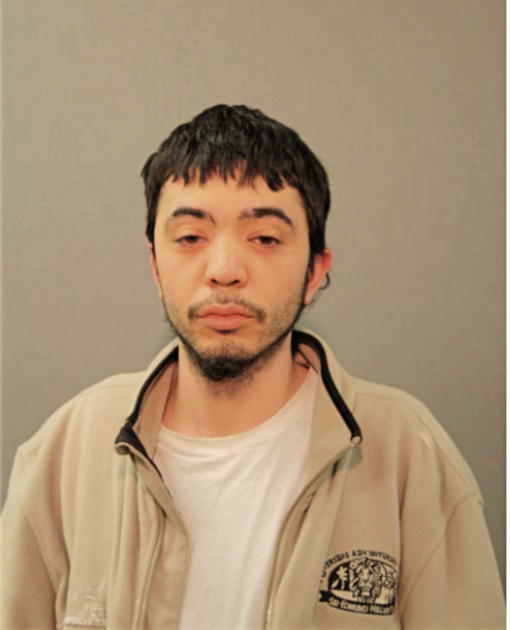 LEONARDO FERNANDEZ, Cook County, Illinois