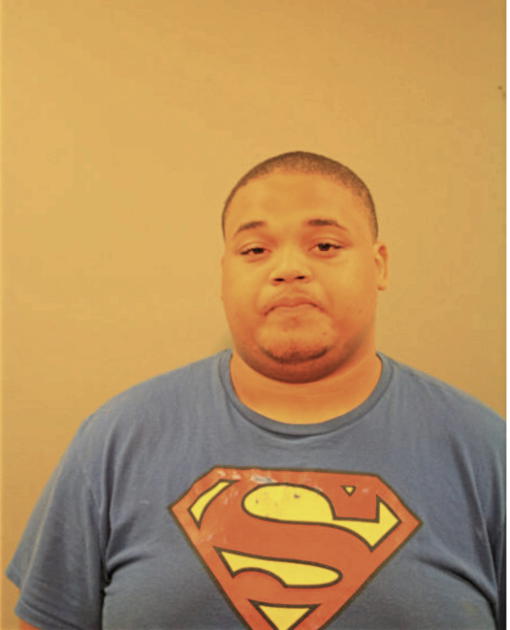 TERRANCE L FERRELL, Cook County, Illinois