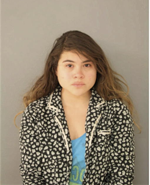 VANESSA J FORTINEAUX, Cook County, Illinois