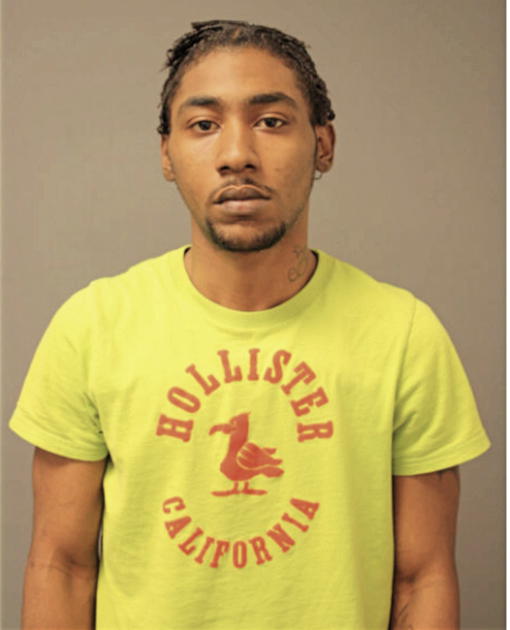PAUL A FULLER, Cook County, Illinois