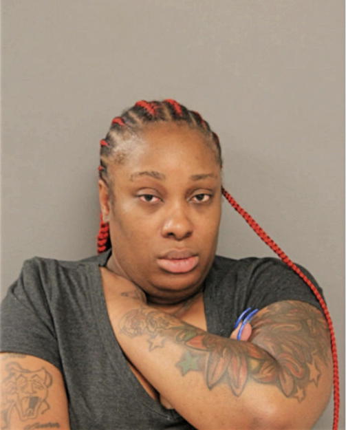 NATASHA P HOUSTON, Cook County, Illinois