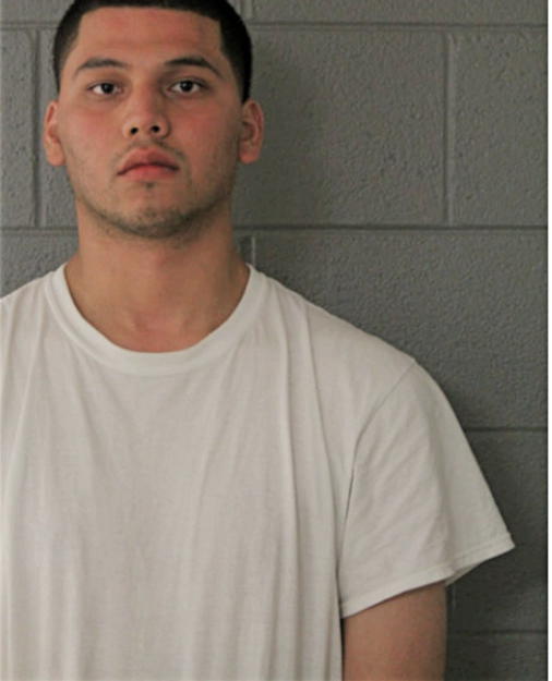 LUIS D INIQUEZ, Cook County, Illinois