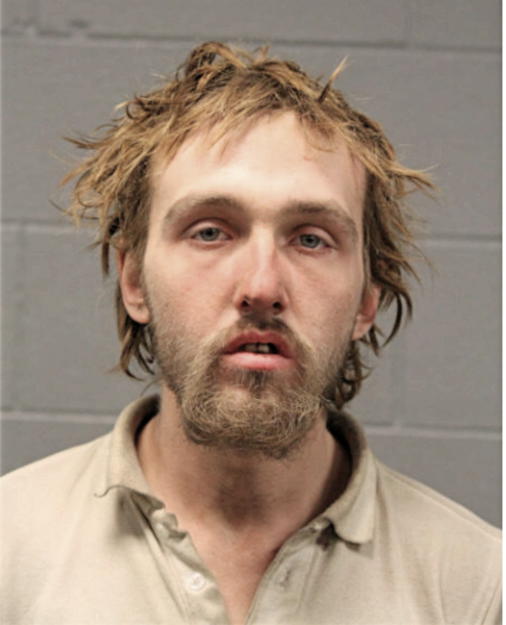 STEVEN ALLEN LEESON, Cook County, Illinois