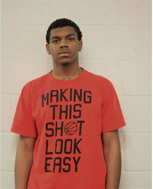 RAMONE T MCDUFFIE, Cook County, Illinois