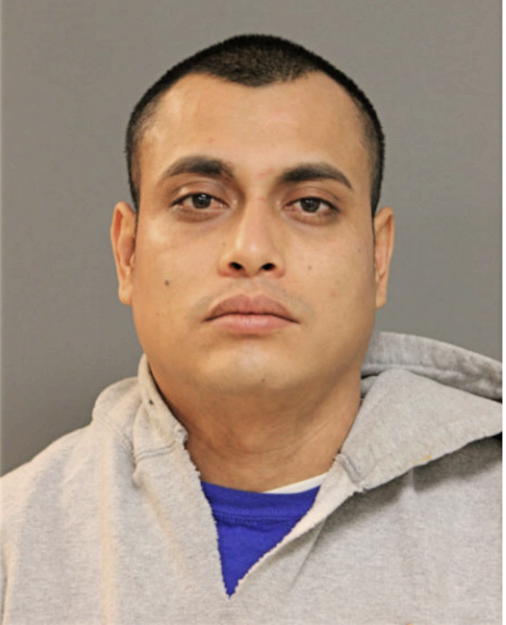 BERNARDO MOYAHO, Cook County, Illinois
