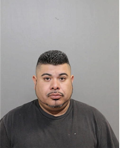 IGNACIO ESTRELLA OCHOA, Cook County, Illinois