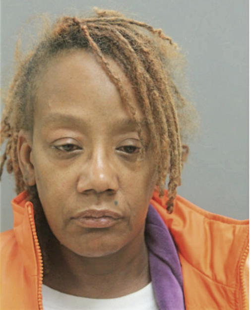 LISA D PERKINS, Cook County, Illinois