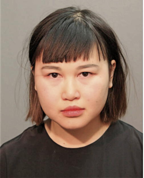 MELANIE PHONGSAVATH-BOULOM, Cook County, Illinois