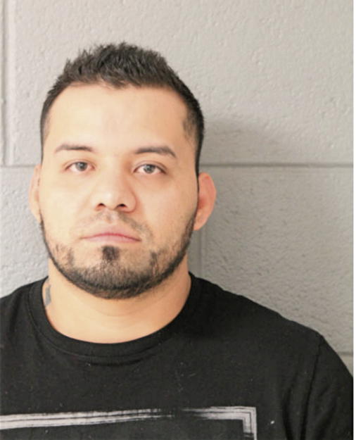 MOISES HERNANDEZ PINEDA, Cook County, Illinois