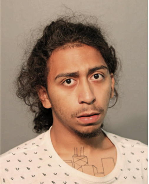 GEOVANI A RAMOS, Cook County, Illinois