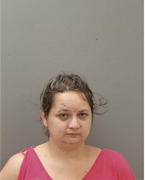 JAMIE L SCOTT, Cook County, Illinois