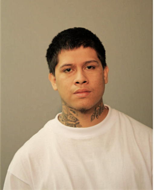 MARCO A TAVIRA-SANDOVAL, Cook County, Illinois