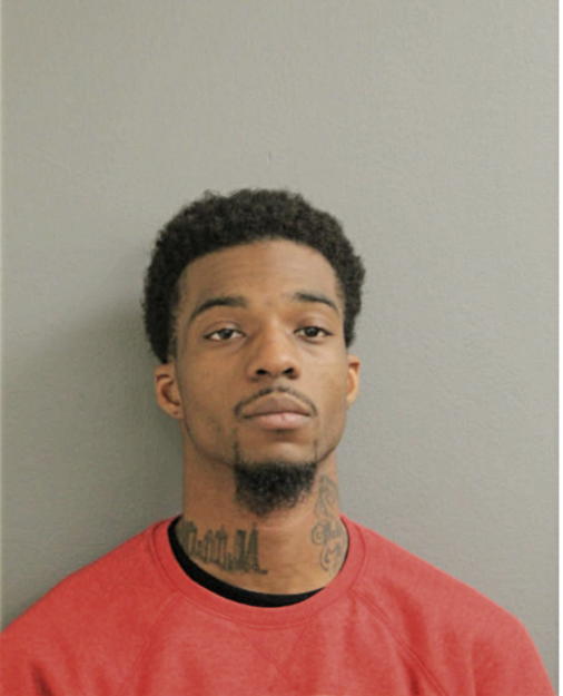 JESSE B YOUNG, Cook County, Illinois