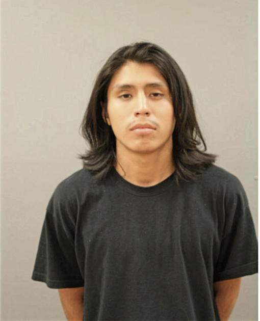 JESUS G AMAYA, Cook County, Illinois