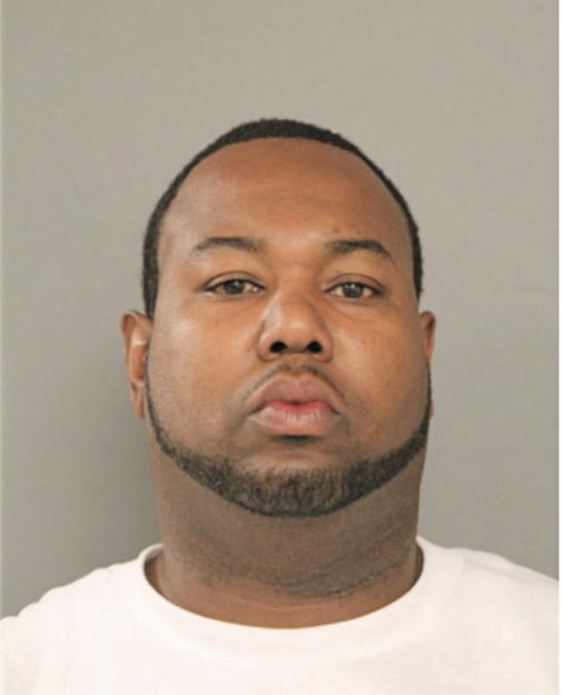 DAVID M ANDERSON, Cook County, Illinois