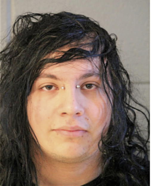 MICHAEL AVILES, Cook County, Illinois