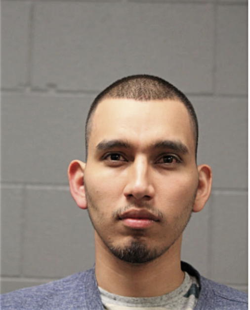 JOSHUA BONILLA, Cook County, Illinois