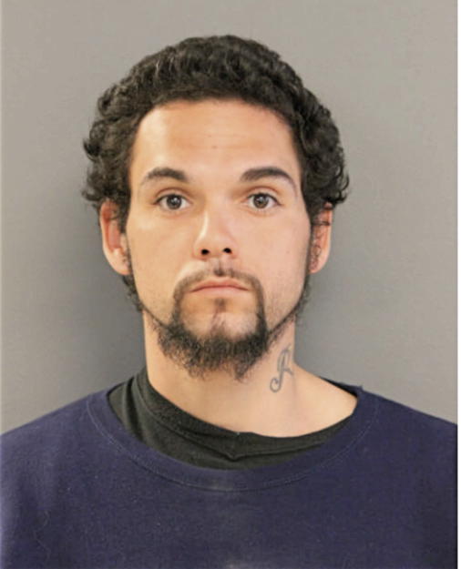 ANIBAL CARTAGENA, Cook County, Illinois